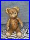 Antique_Early_20thC_German_Jointed_Mohair_Teddy_Bear_Shoe_Button_Eyes_01_lre