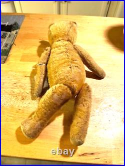 Early 1900s 16 Golden Mohair Straw Stuffed Fully Poseable German Bear With Glas
