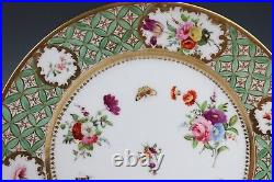 Early French or German Dinner Plate Flowers Insects Antique Old Paris Porcelain